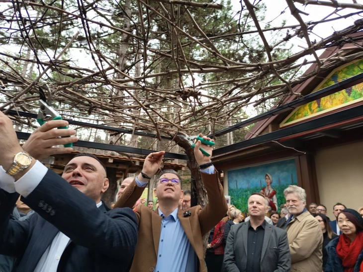 Трипуновски: Нема кратење на субвенции, но приоритет ќе добијат вистинските земјоделци што егзистираат од земјоделство 