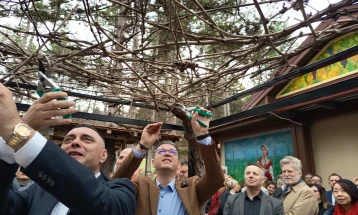 Трипуновски: Нема кратење на субвенции, но приоритет ќе добијат вистинските земјоделци што егзистираат од земјоделство 