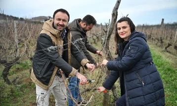 Зајкова: Задоцнети, нетранспарентни мерки и намалени субвенции за лозарите