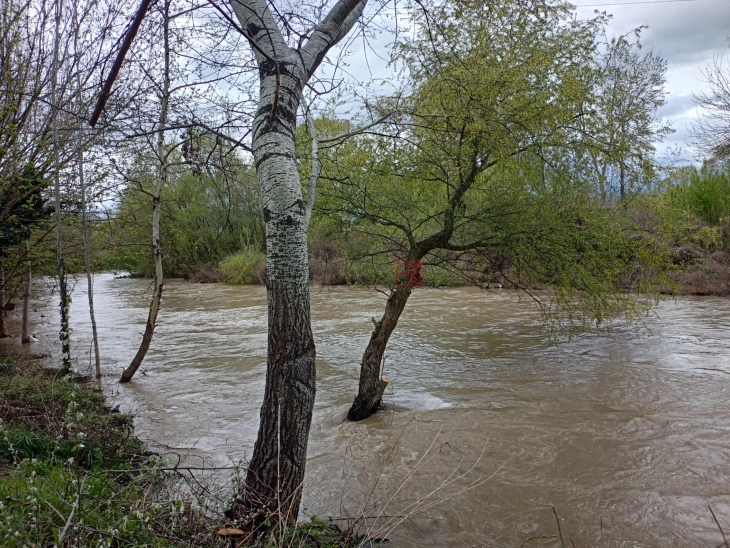 ЦУК: Евакуирани 180 лица од поплавени куќи во Кичево, во Балиндол заглавени две деца со мајка