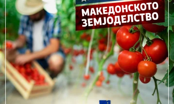 Tripunovski: Work underway over accreditation of new IPARD measures