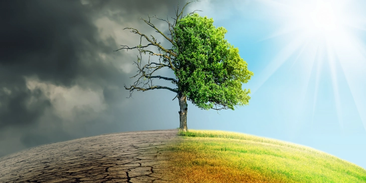 EU must do more on climate adaptation, experts say