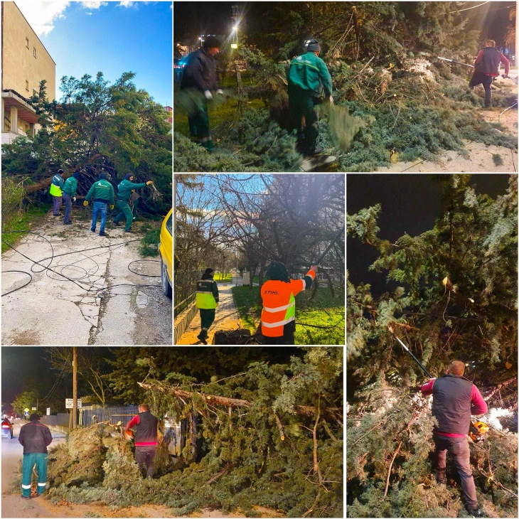 Ѓорѓиевски: Службите на терен по неповолните временски услови, апелирам на внимателност