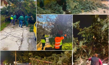 Gjorgjievski: Shërbimet në terren pas motit të keq, apeloj për kujdes