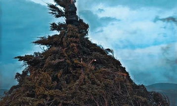 Апел за одговорно однесување со палењето смреков оган за Прочка во Делчевско