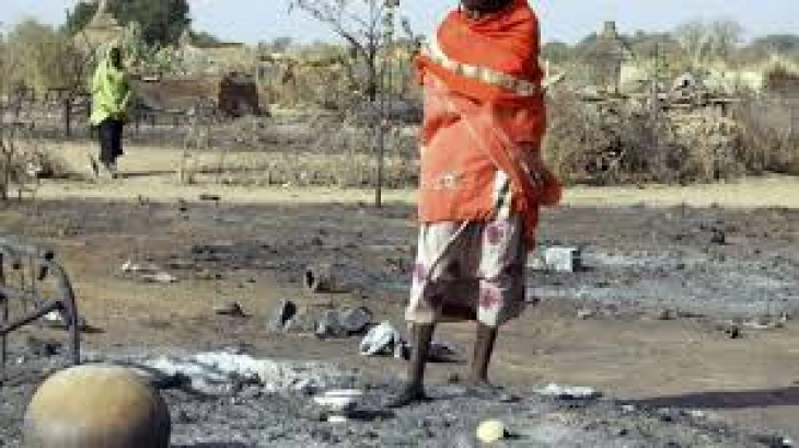 Forcat paramilitare sudaneze kanë vrarë të paktën 28 persona në Darfur