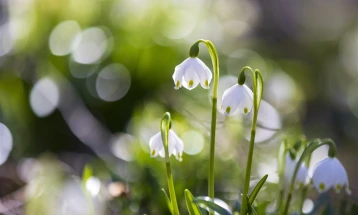 Weather: Sunny, windy; high 16°C