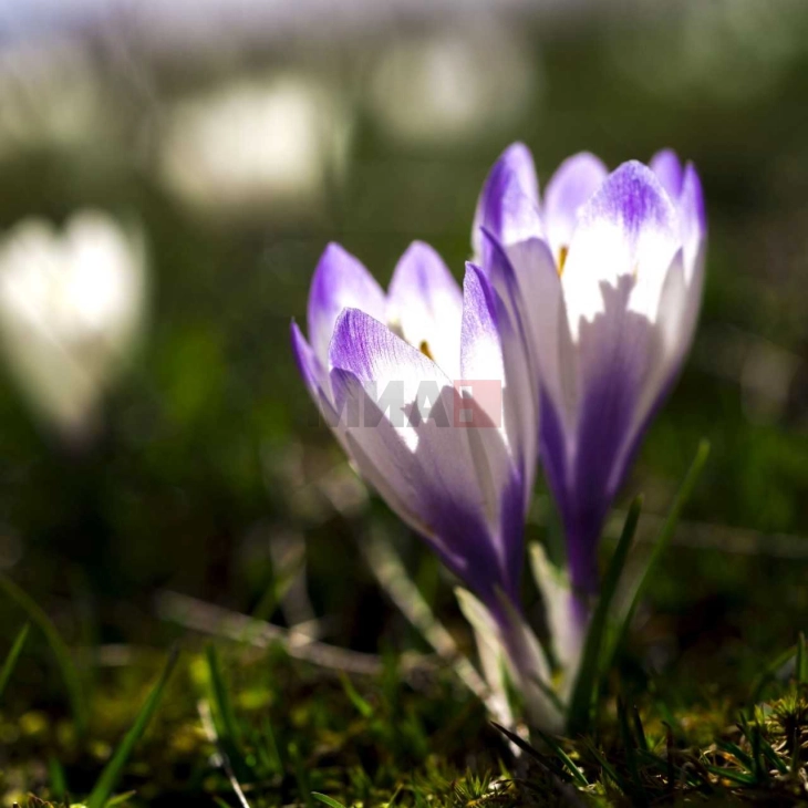 Сончево со слаб ветер, температура до 16 степени