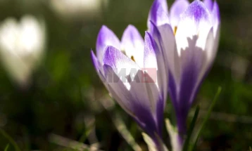 Сончево со слаб ветер, температура до 16 степени