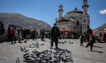 Шефот на ОН за човекови права повика на итен политички дијалог меѓу Авганистан и Пакистан