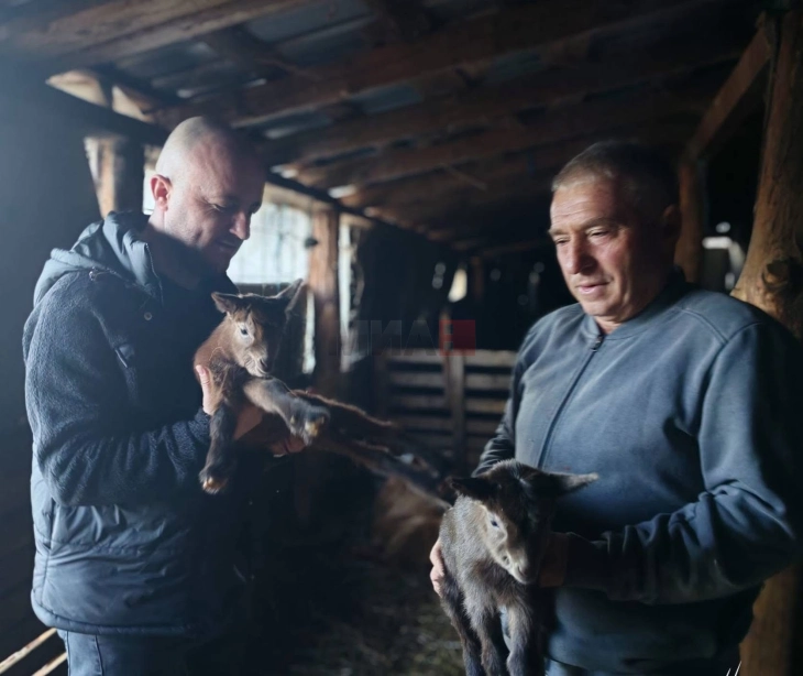 Hoxha: Mbeshtetje per fermerët lokalë për të rritur besimin tek prodhimi vendas
