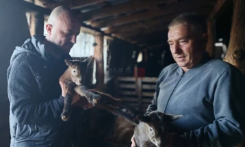 Hoxha: Mbeshtetje per fermerët lokalë për të rritur besimin tek prodhimi vendas