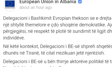 Делегација на ЕУ во Тирана: Загрижени сме од насилните акти и загрозувањето на животи, на протестите на опозицијата