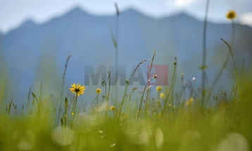Mëngjes pjesërisht i vranët me temperatura nën zero, gjatë ditës deri në 17 gradë