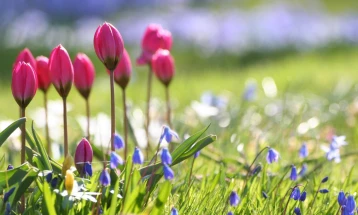 Weather: Predominantly sunny; high 20°C