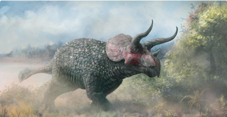 Скелетот на трицератопсот Треј ќе се стави на аукција, додека пазарот на диносауруси цвета