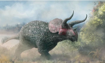 Скелетот на трицератопсот Треј ќе се стави на аукција, додека пазарот на диносауруси цвета