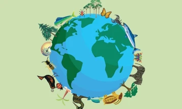 Обука на РАИ за претставници на Секторот за заштита на природата/биодиверзитетот во областа на Проценка на ризикот од корупција