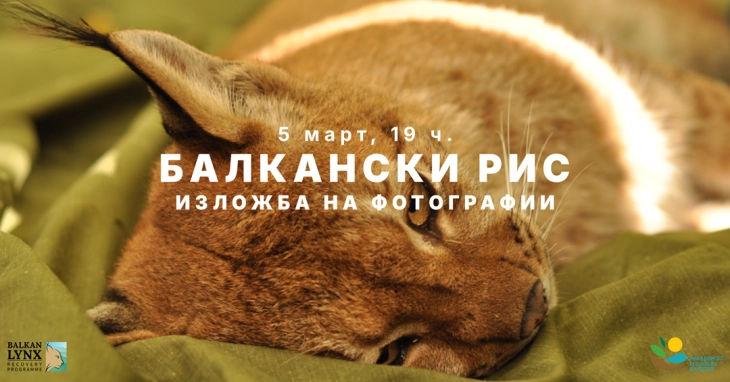 Патувачката изложба за балканскиот рис во Скопје