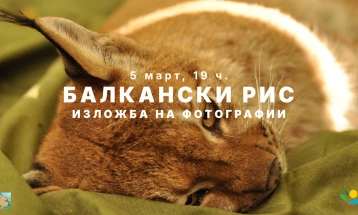 Патувачката изложба за балканскиот рис во Скопје