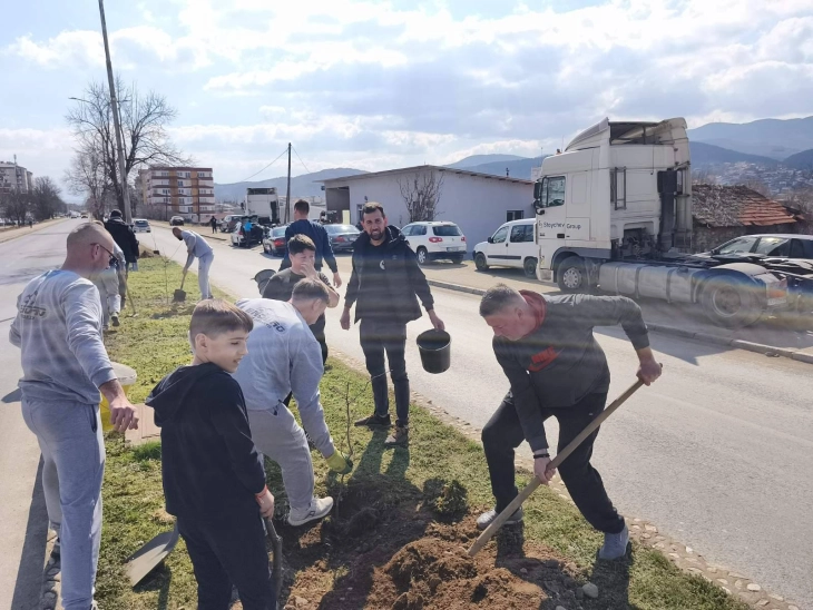 Акција за позелено Делчево: Засадени 60 садници липа во центарот на градот