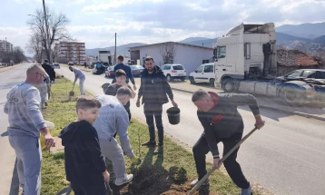 Акција за позелено Делчево: Засадени 60 садници липа во центарот на градот