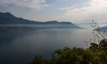 Истражување: Светските езера се загрозени од ширење на големи инвазивни животни