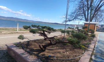 Шеталиштето во Стар Дојран со ново хортикултурно уредување