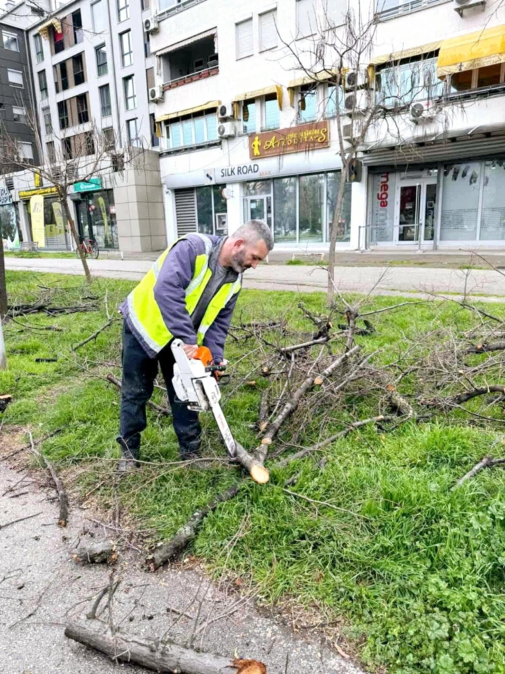Голема акција за уредување на зелените површини во Општина Аеродром