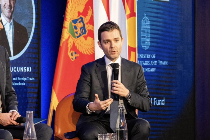 Муцунски во Будимпешта: Ние сме предвидлив партнер на ЕУ, но истата таква предвидливост и кредибилност ја очекуваме и од земјите членки