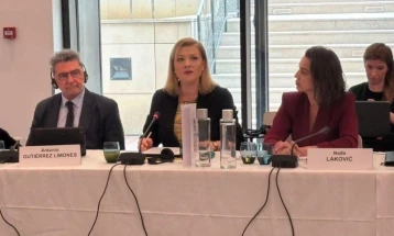 Василевска на состанок на Комисијата за политички прашања и демократија на ПССЕ