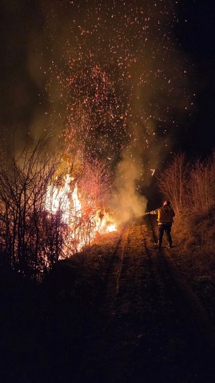 Десет пожари за десет дена во Крива Паланка