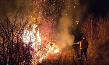 Десет пожари за десет дена во Крива Паланка