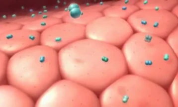 Епидемија на менингитис во Велика Британија, две лица починаа