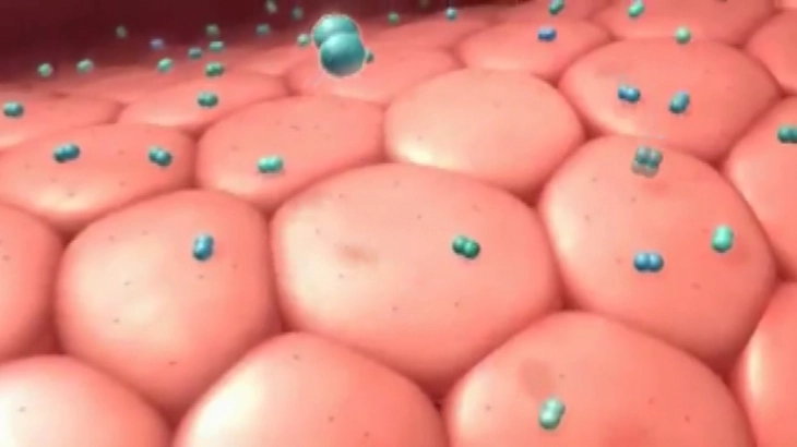 Epidemi e meningjitit në Mbretërinë e Bashkuar, dy të vdekur