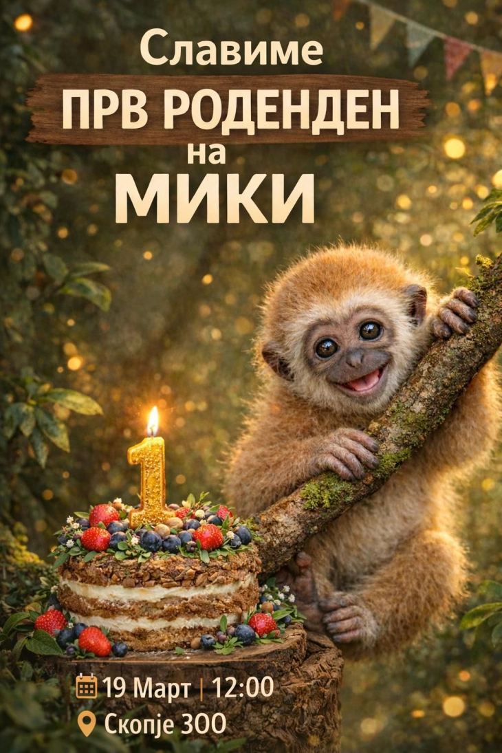 Скопската Зоолошка организира прослава за првиот роденден на гибонот Мики