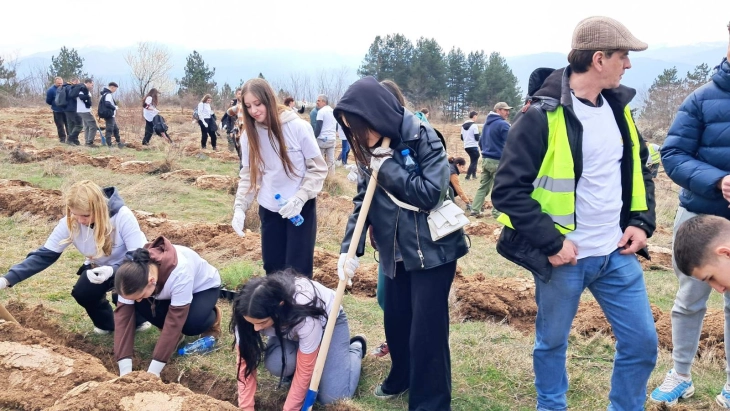 Акција за пошумување во атарот на дебарското село Татар Елевци