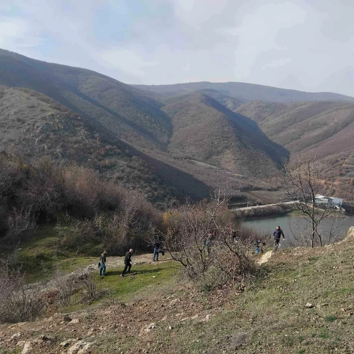 Кумановската подружница на „Македонски шуми“ произведе садници за пошумување низ државата