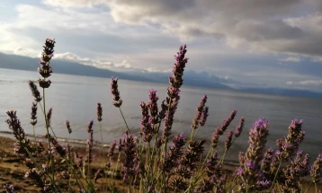 Продолжениот викенд променливо облачно, со повремен засилен северен ветер