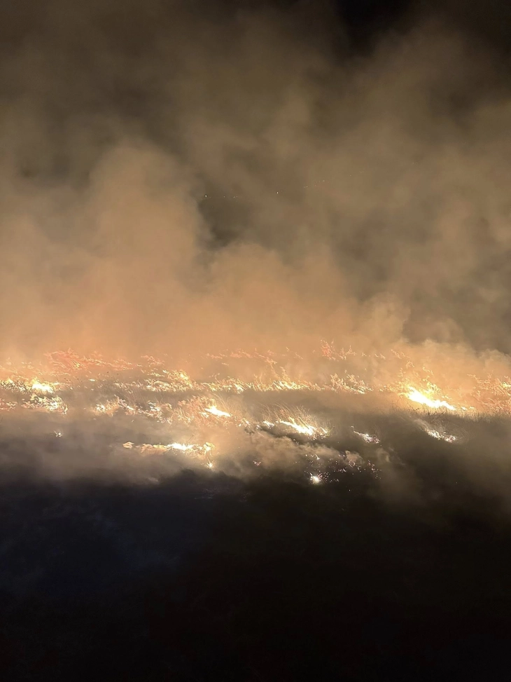 Опожарени дваесетина хектари нискостеблеста шума и сува трева во Макреш, Старо Нагоричане