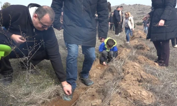 На денот на пролетта во комплексот Маркови Кули кај Прилеп засадени  6 000 садници