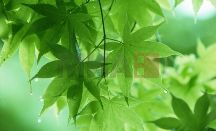 Променливо облачно со сончеви периоди,  попладне локален слаб дожд