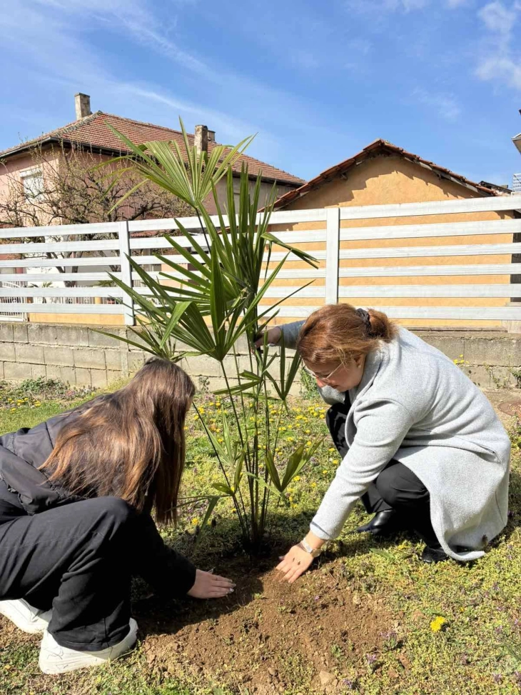 Со садење палми општина Валандово ја одбележа пролетта