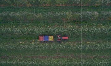 World Meteorological Day: Experts warn climate change threatens country's 180,000 farmers