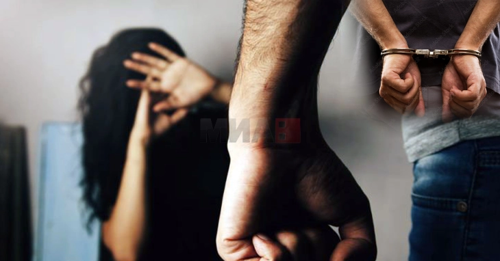 Приведени седум лица за семејно насилство во последното деноноќие