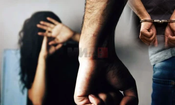 Приведени седум лица за семејно насилство во последното деноноќие