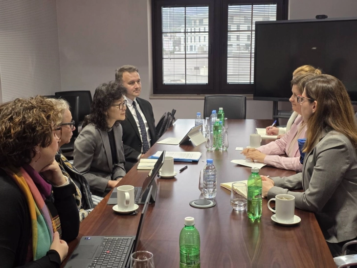 Божиновска - Ју: Модернизацијата во енергетиката и зелената транзиција клучни за енергетска одржливост