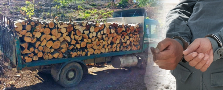 Кривична пријава против три физички и едно правно лице, го оштетиле буџетот на ЈП „Национални шуми“ за над три милиони денари