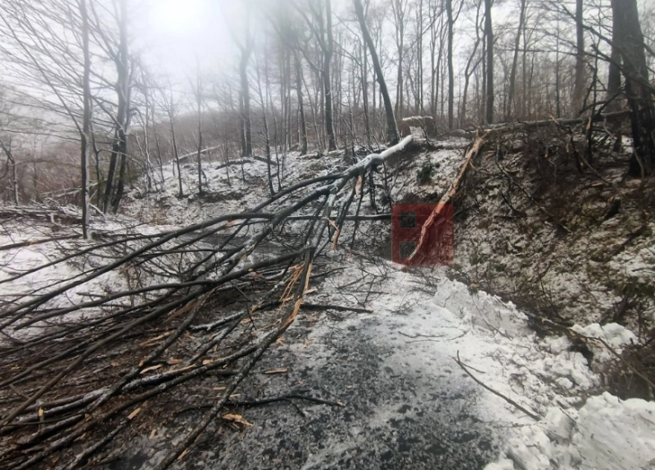 Во невремето во Хрватска оштетени 40 основни и средни училишта, како и 24 градинки