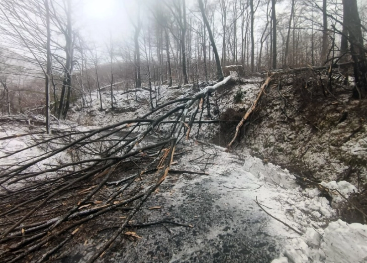 Nga stuhia në Kroaci janë dëmtuar 40 shkolla fillore dhe të mesme, si dhe 24 kopshte